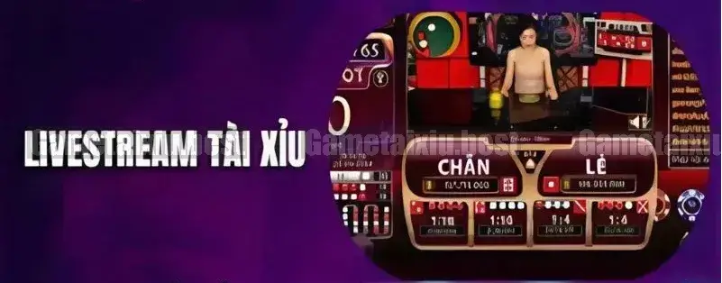 Phân Tích Dữ Liệu Trước Khi Đặt Cược