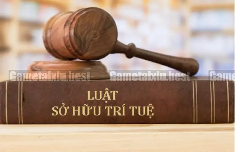 Quyền Sở Hữu Trí Tuệ và Bản Quyền