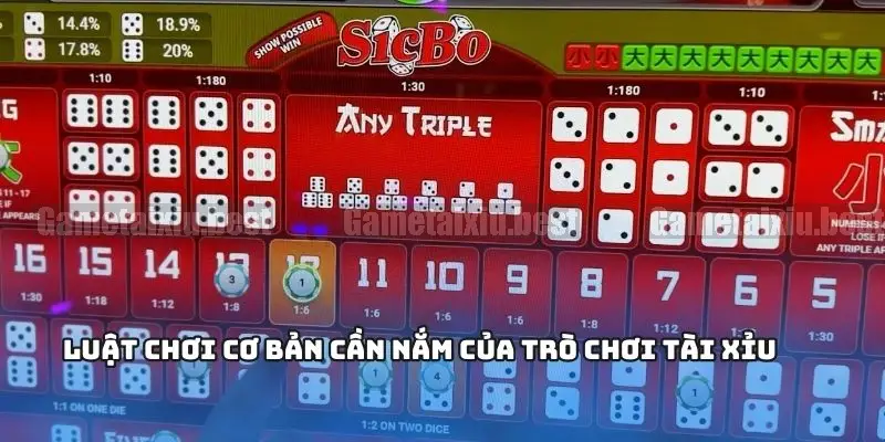 Cược cặp số