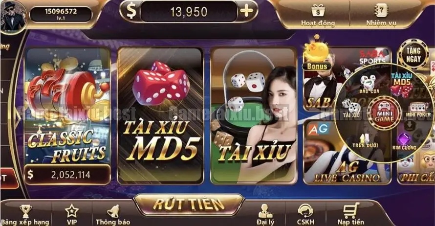 Đặt Cược Quá Nhiều